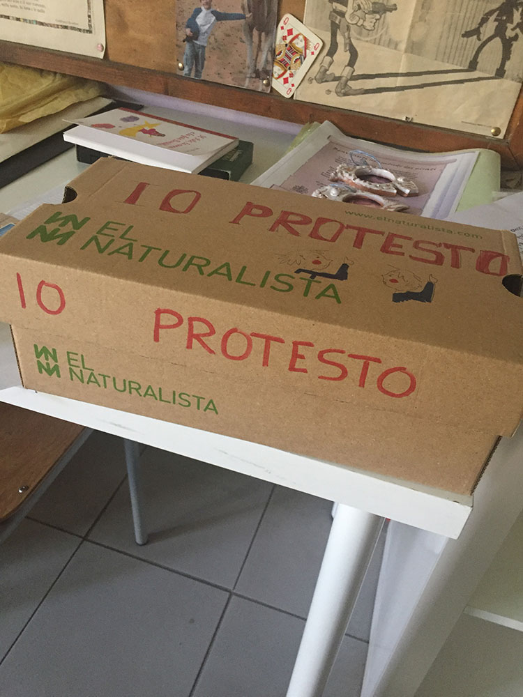 La protesta